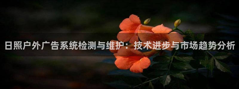 杏宇平台官网注册：日照户外广告系统检测与维护：技术进步与市场趋势分析
