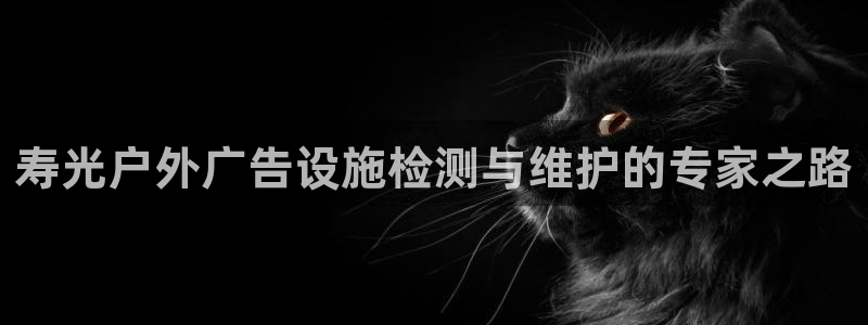 杏宇平台注册地址：寿光户外广告设施检测与维护的专家之路