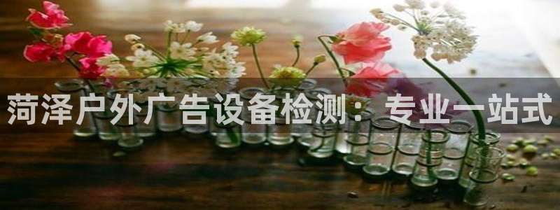 杏宇平台代理怎么样啊：菏泽户外广告设备检测：专业一站式