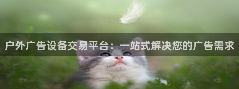 杏宇平台代理怎么赚钱：户外广告设备交易平台：一站式解决您的广告需求
