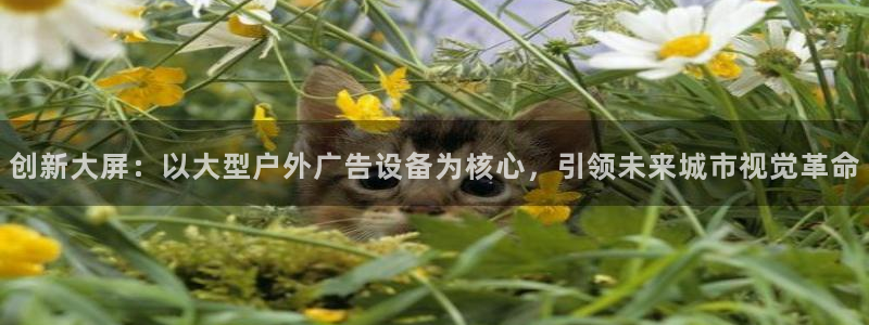 杏宇平台代理多少钱一次：创新大屏：以大型