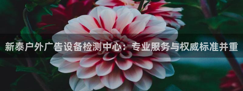 杏宇平台代理怎么赚钱：新泰户外广告设备检