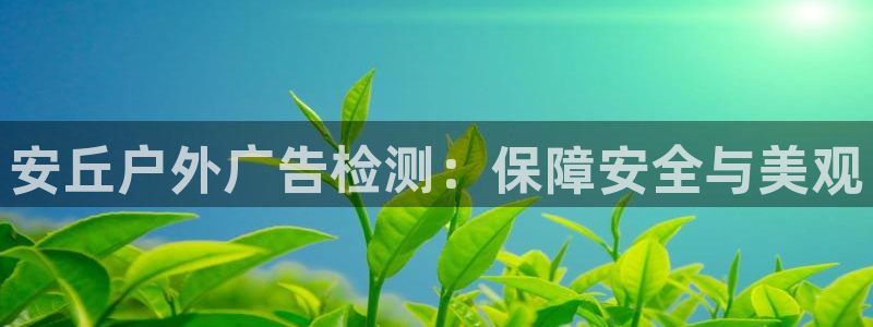 杏宇平台登录步骤图