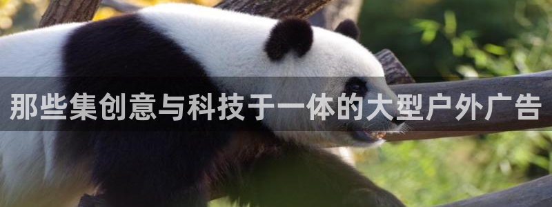 杏宇官方平台官网下载：那些集创意与科技于