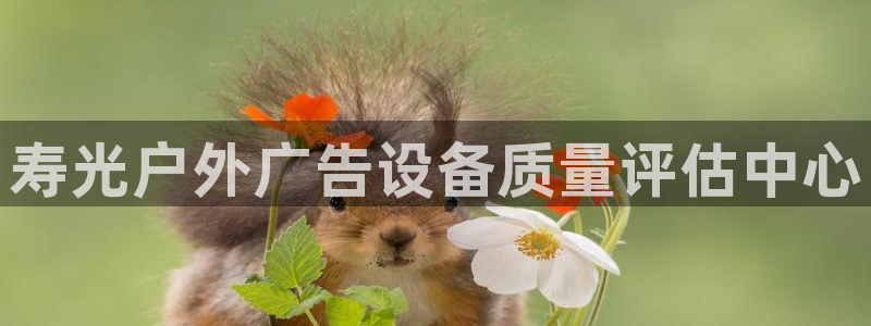 杏宇平台怎么样：寿光户外广告设备质量评估