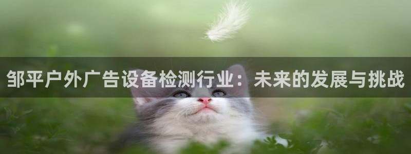 杏宇平台代理怎么样可靠吗：邹平户外广告设备检测行业：未来的发展与挑战